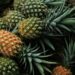 Pineapples: The juicy, tropical superfruit your garden needs