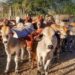 A healthy farming sector drives a food-secure nation