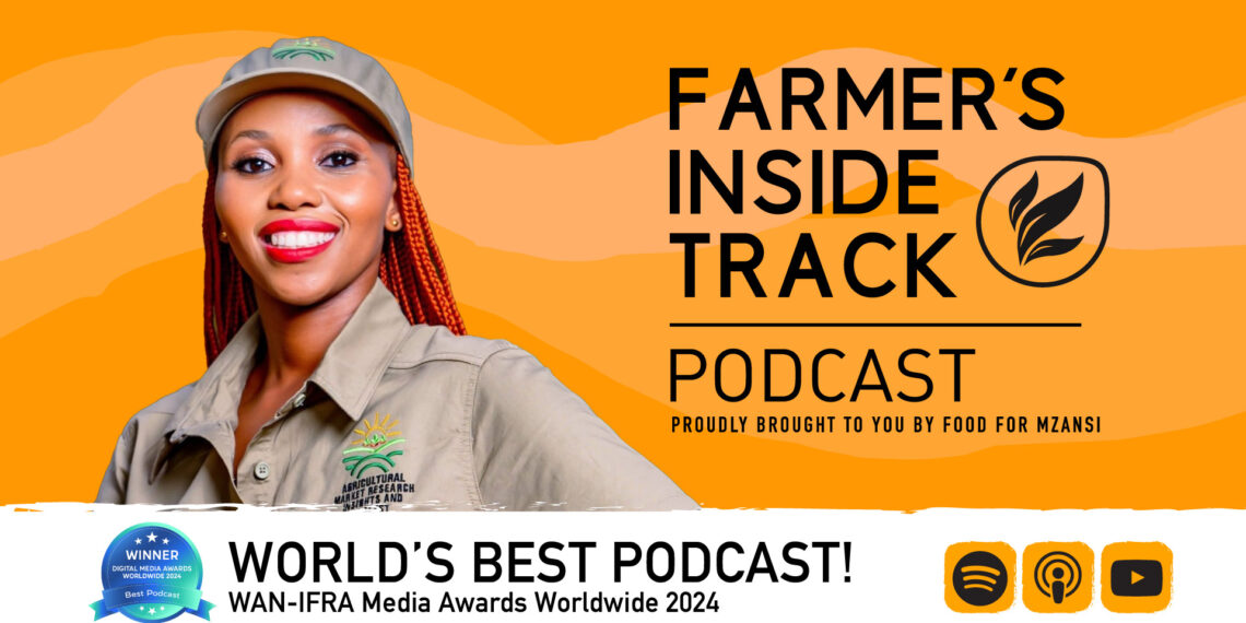 Nozipho Puwana, the founder of the Agricultural Market Research Insights and Analyst (AMRIA), discusses the ginger market.
Photo: Food For Mzansi