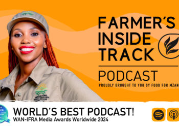 Explore Africa’s potential in the global ginger market