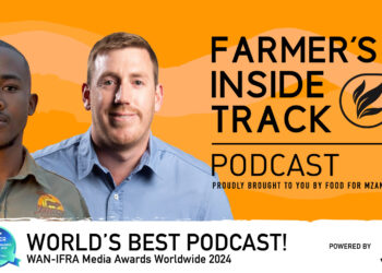 Voermol Feeds: The secret to healthier, stronger herds