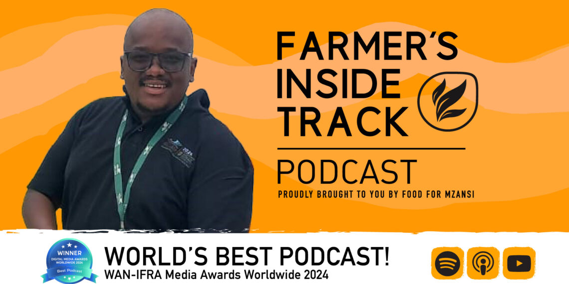 Blessing Mphahlele discusses the importance of integrated pest management and provides tips on controlling tomato leaf miner.
Photo: Food For Mzansi