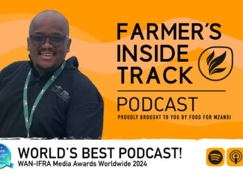 Sustainable solutions to combat tomato leaf miner
