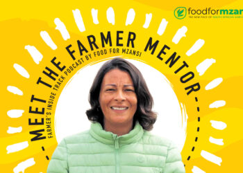 Sheena’s Tri Toad Nursery: Where seeds of faith flourish