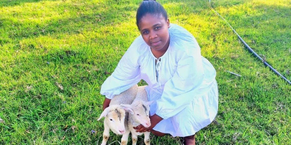 Qhawekazi Fadana's entrepreneurial journey started with small steps – selling hot dogs in East London. Today, she runs Mhlelisa Farm, a thriving 280-hectare property on the Wild Coast. Photo: Supplied/Food For Mzansi