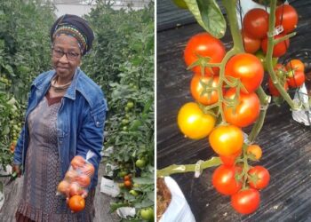 Comeback queen Thobeka turns failure into thriving co-op