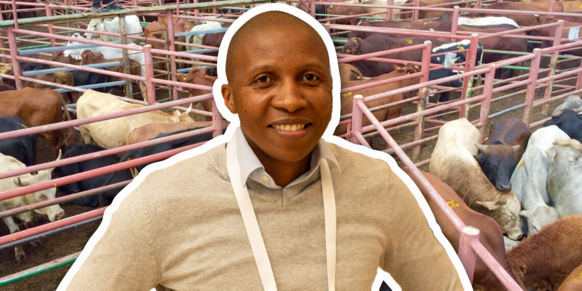 Dr Siphe Zantsi, an agricultural economist in the economics analysis unit at the Agricultural Research Council (ARC), suggests several solutions to ensure better animal protection.Photo: Supplied/Food For Mzansi.