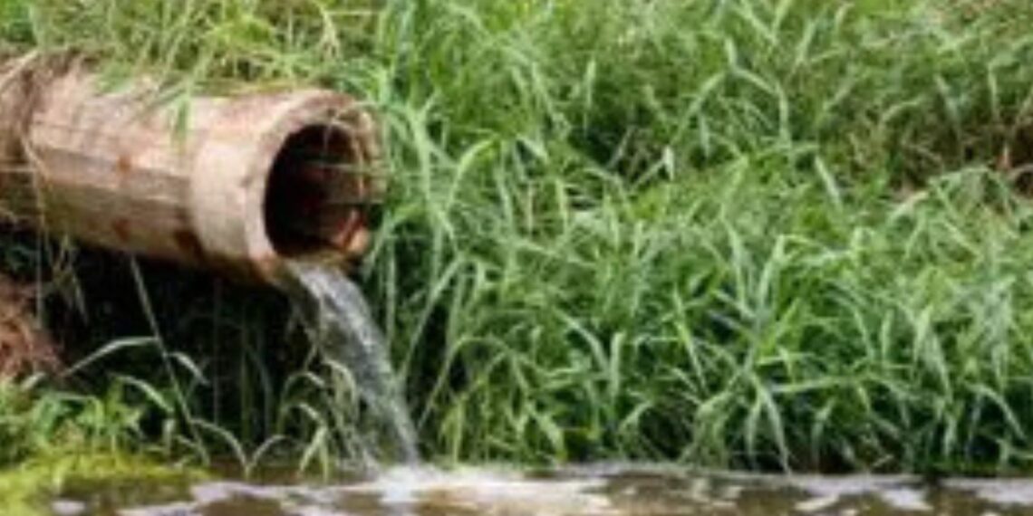 Agri Limpopo is raising the alarm as the Limpopo River faces serious pollution. This is considered a wake-up call for all farmers who depend on this lifeline. Photo: Supplied/Food For Mzansi