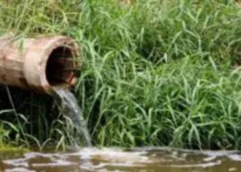 Agri Limpopo is raising the alarm as the Limpopo River faces serious pollution. This is considered a wake-up call for all farmers who depend on this lifeline. Photo: Supplied/Food For Mzansi