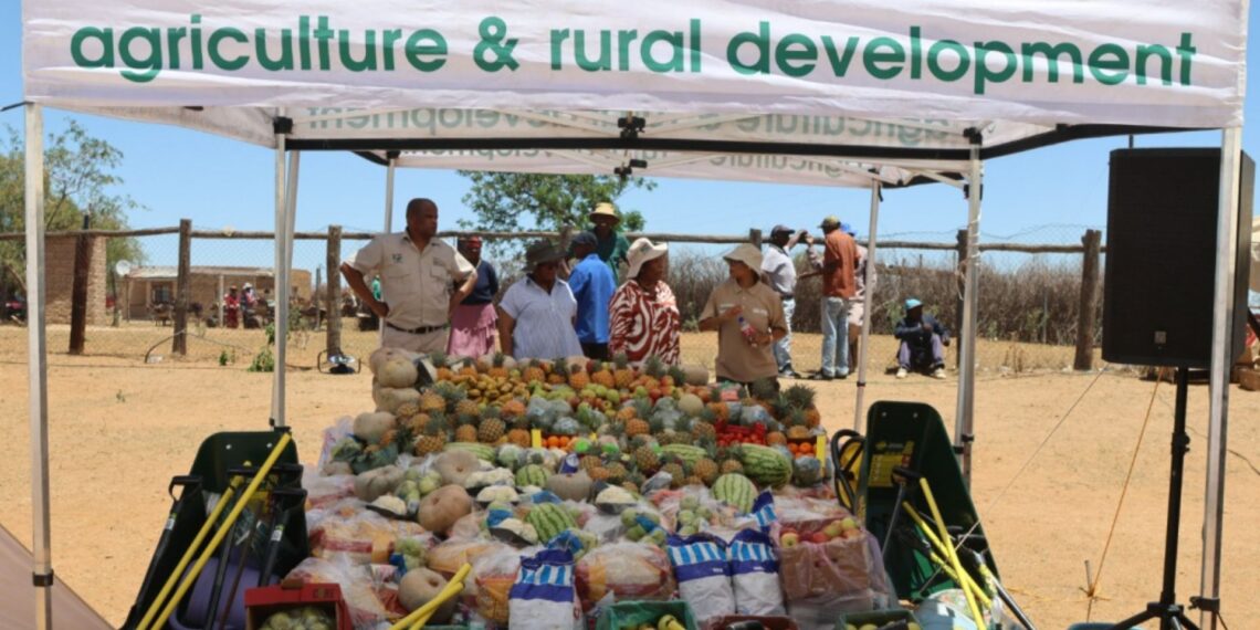 The department of agriculture and rural development handed out 200 food parcels in Madibogopan North West.
Photo: Supplied/NW department of agriculture and rural development