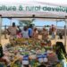 NW rural families receive food aid and farming support