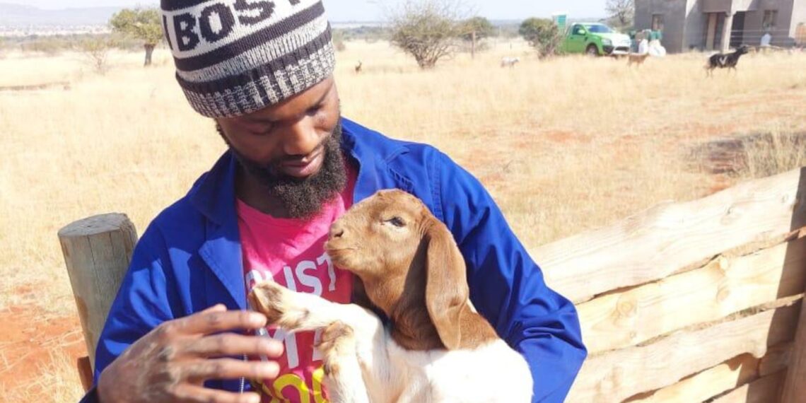 Mogase Kgatjepe, a young farmer from Limpopo, is carrying on a family legacy of livestock breeding. Photo: Supplied/Food For Mzansi