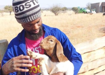 Mogase’s livestock success built on heritage and hard work