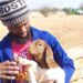 Mogase’s livestock success built on heritage and hard work