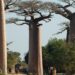 Mining permits threaten Limpopo’s ecosystems and agriculture