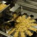 PepsiCo invests R746m in Isando potato chip plant