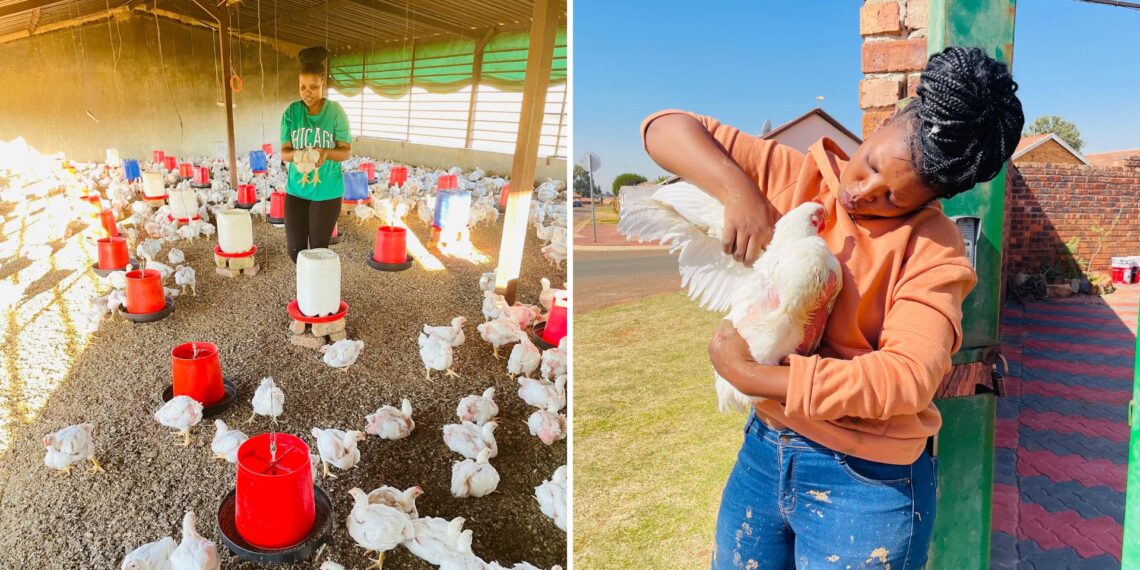 Ntobeko Vilakazi started with R5 500 and 50 chicks. Now, Luminathi Agribusiness supplies fresh chickens to Ekangala markets in Mpumalanga. 
Photos: Supplied/Food For Mzansi