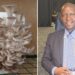 Oyster mushrooms fuel Daniels’s dream for community growth