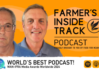 The buzz about honeybees: Farmers’ role in protecting pollinators