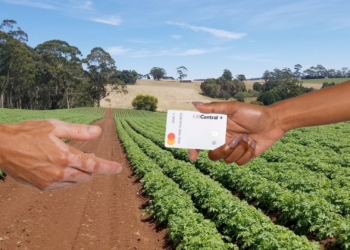 Strengthen farm ties with thoughtful gifts this holiday