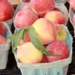 Grow perfect peaches from seed to nutritious snack