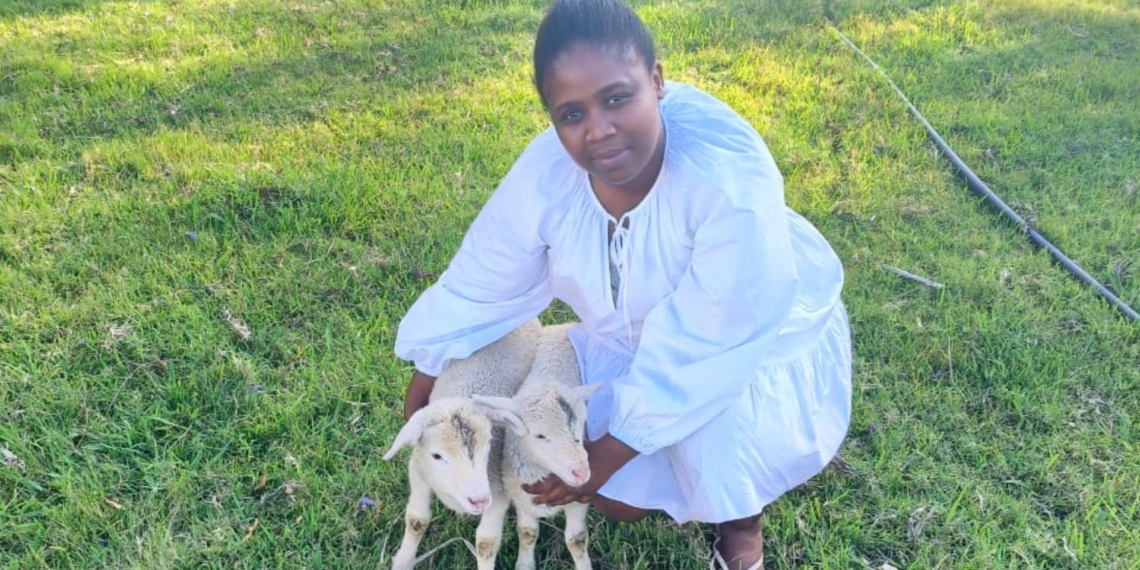 Qawekazi Fadana farms free-range poultry, cattle, sheep, and vegetables at Mhlelisa Farm in Haga Haga near East London. Photo: Supplied/Food For Mzansi