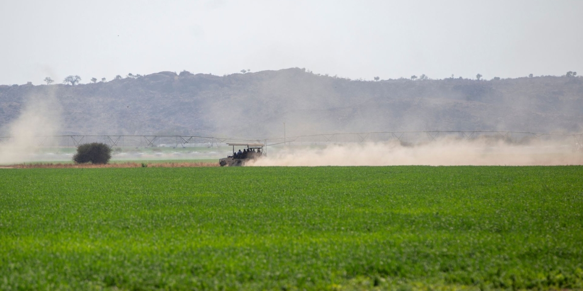 Stanbic Bank Botswana has joined forces with Kwenantle Farmers, a prominent agricultural enterprise, to promote eco-friendly farming practices. Photo: Supplied/Food For Mzansi