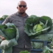 Farmers balance festivities with hard work this holiday