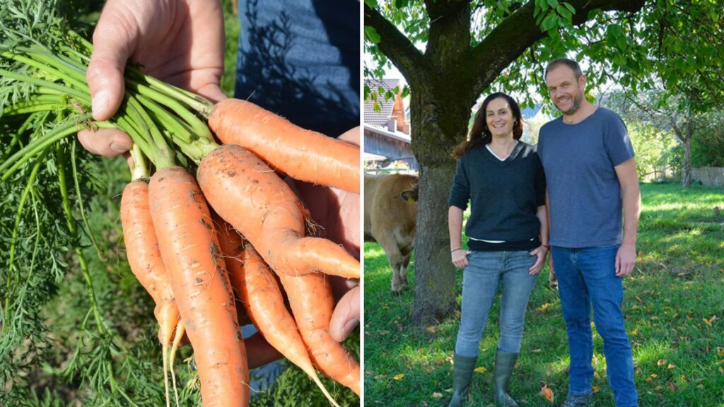 The farm, Bio Scheurer in Kallnach, Switzerland, rotates crops like wheat, soya, spelt, carrots, and golden millet, which helps keep the land healthy and productive. Photo: Supplied/Food For Mzansi