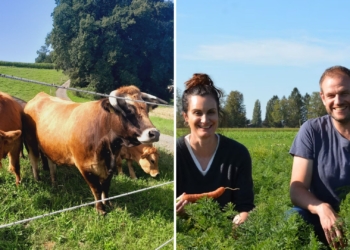 Andreas Scheurer and Anja Maurer on their organic farm, Bio Scheurer, in the Bernese Seeland region of Switzerland, where they focus on sustainable livestock farming and direct consumer sales. Photo: Supplied/Food For Mzansi