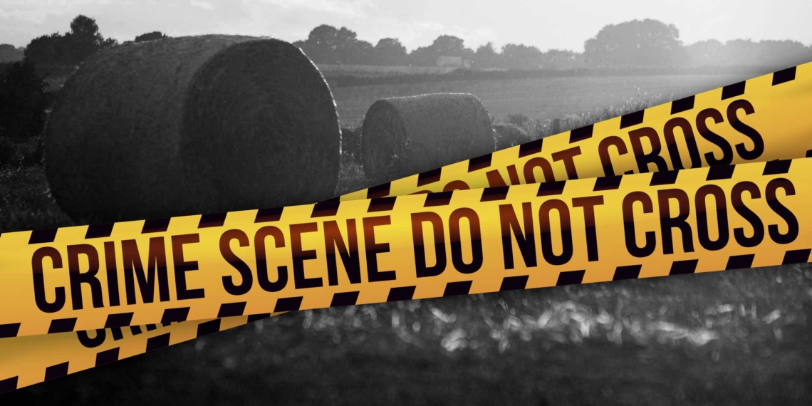 Dismissing US claims of genocide, the FW de Klerk Foundation emphasizes that South Africa's real struggles are against corruption, violent crime, and inequality, which affect all races. Photo: Gareth Davies/Food For Mzansi