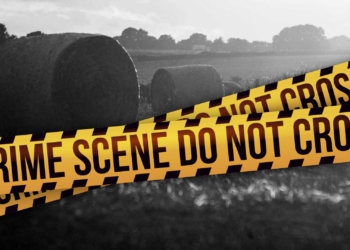 Dismissing US claims of genocide, the FW de Klerk Foundation emphasizes that South Africa's real struggles are against corruption, violent crime, and inequality, which affect all races. Photo: Gareth Davies/Food For Mzansi