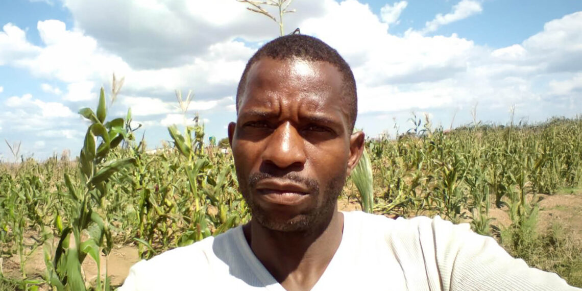 Petrus Maloka showcases his maize which helps him with feeding his livestock.
Photo: Supplied/Food For Mzansi
