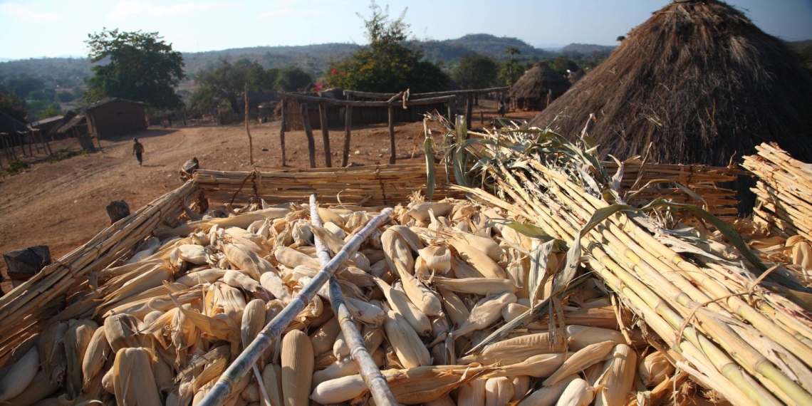 Mozambique are not directly targeted, but unrest threatens the agricultural economy. Photo: Supplied/Flickr