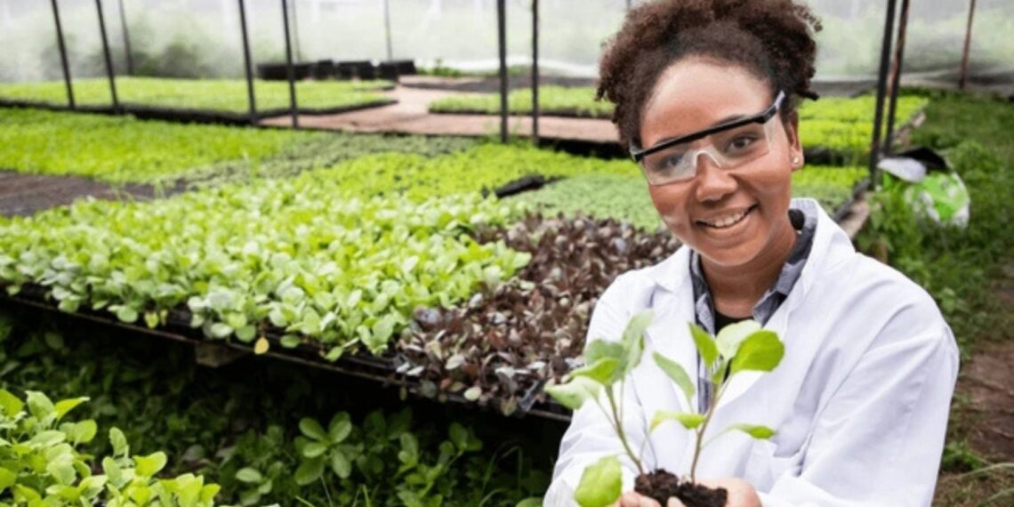 The Agricultural Research Council (ARC) has been named top employer by the Top Employers Institute, a global authority that acknowledges excellence in employee conditions. 
Photo: Shutterstock