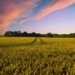 Agricultural leaders call for urgent action on land reform, inclusive funding, and rural safety to drive growth and overcome sector challenges. Photo: Supplied/Food For Mzansi