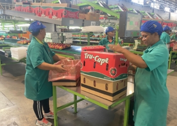 Two-a-Day leads agribusiness with top employer status