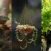 Easy steps to turn a small space into a thriving food garden