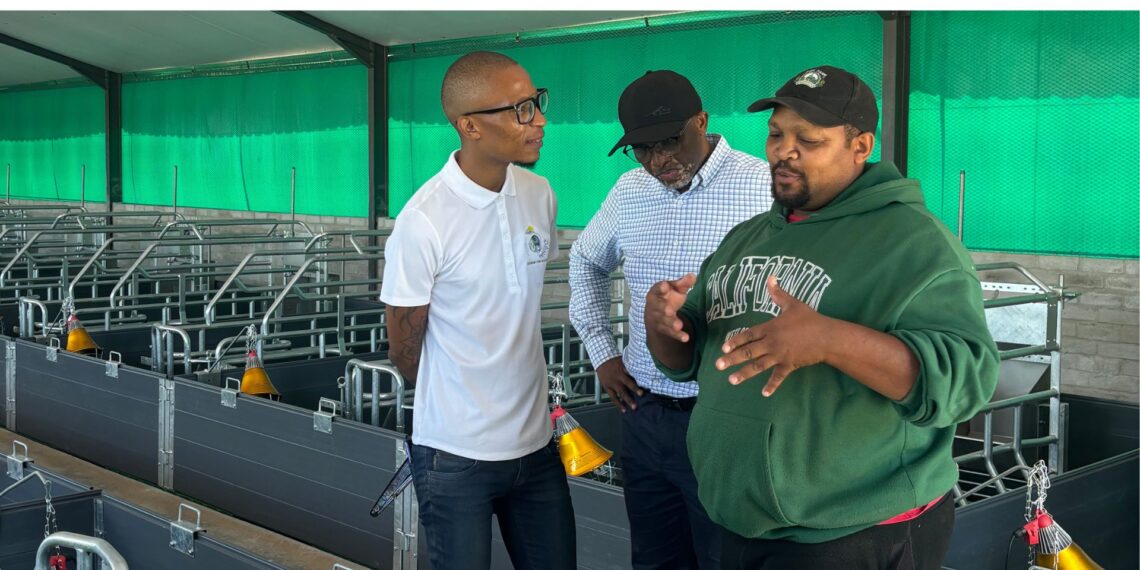 Marvin Witbooi, chairman of the Siyavuma Piggery co-op (in green), shows visitors around the piggery's new farrowing house. Photo: Supplied/Food For Mzansi