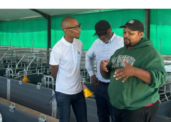 Jeffreys Bay Wind Farm powers Siyavuma Piggery to new heights