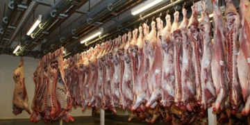 Meat Safety Act: What farmers need to know - Food For Mzansi