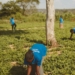 Minimum wage hike: Striking a balance for farmers and workers