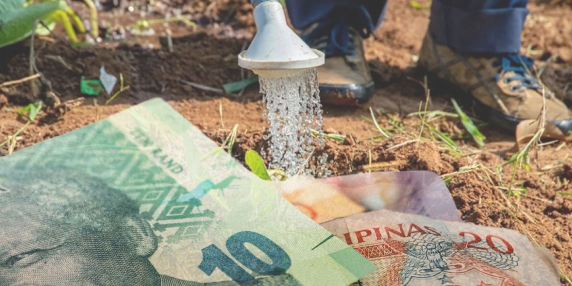 According to leading agricultural economists, the sector is set to rise from the challenges of 2024 with global opportunities and tech in hand. Photo: Supplied/Food For Mzansi