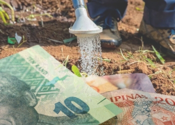 G20 Summit sparks optimism for Mzansi agriculture in 2025