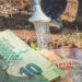 G20 Summit sparks optimism for Mzansi agriculture in 2025