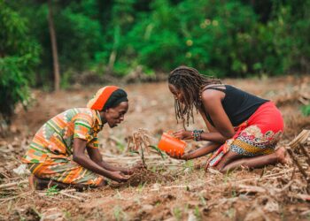 How climate solutions can address gender inequality