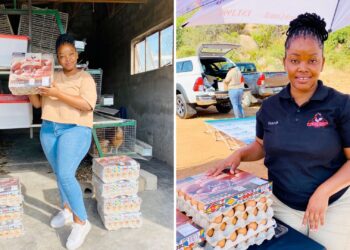 Kwakwa cracks the egg market and builds a growing poultry empire