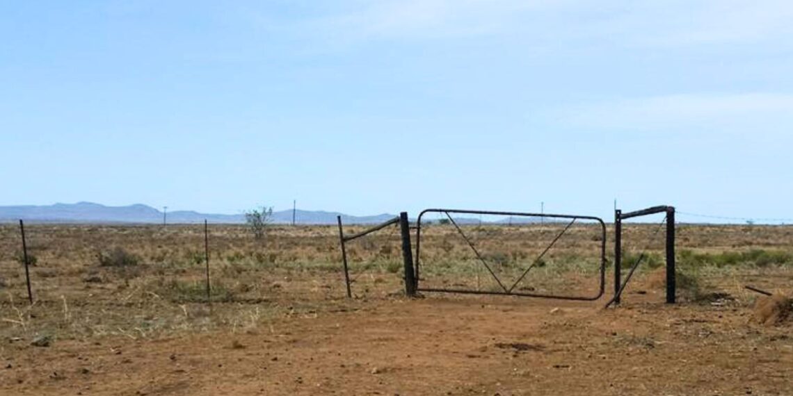Southern Africa faces a historic hunger crisis exacerbated by El Niño's legacy and erratic rains. Forecasts are uncertain, raising fears of further crop failures. Photo: Free State Agriculture