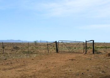 Hunger crisis as uncertain rains threaten southern Africa’s harvest