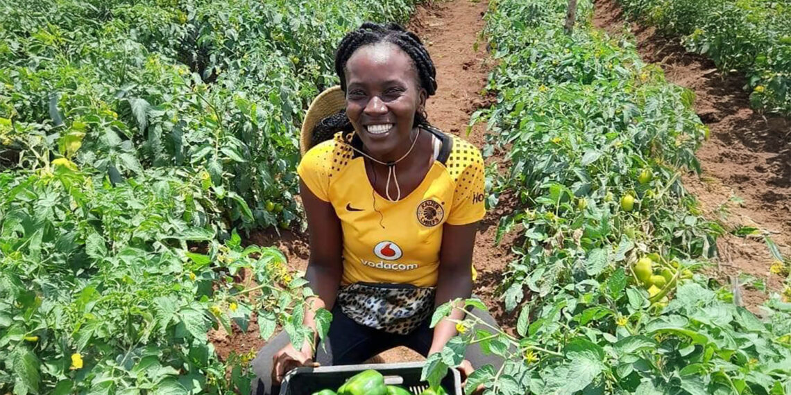 Crop farmer Busisiwe Ngomane turned adversity into opportunity, transforming unused family land into a thriving agribusiness.
Photo: Supplied/Food For Mzansi